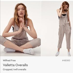 Aritzia overalls
